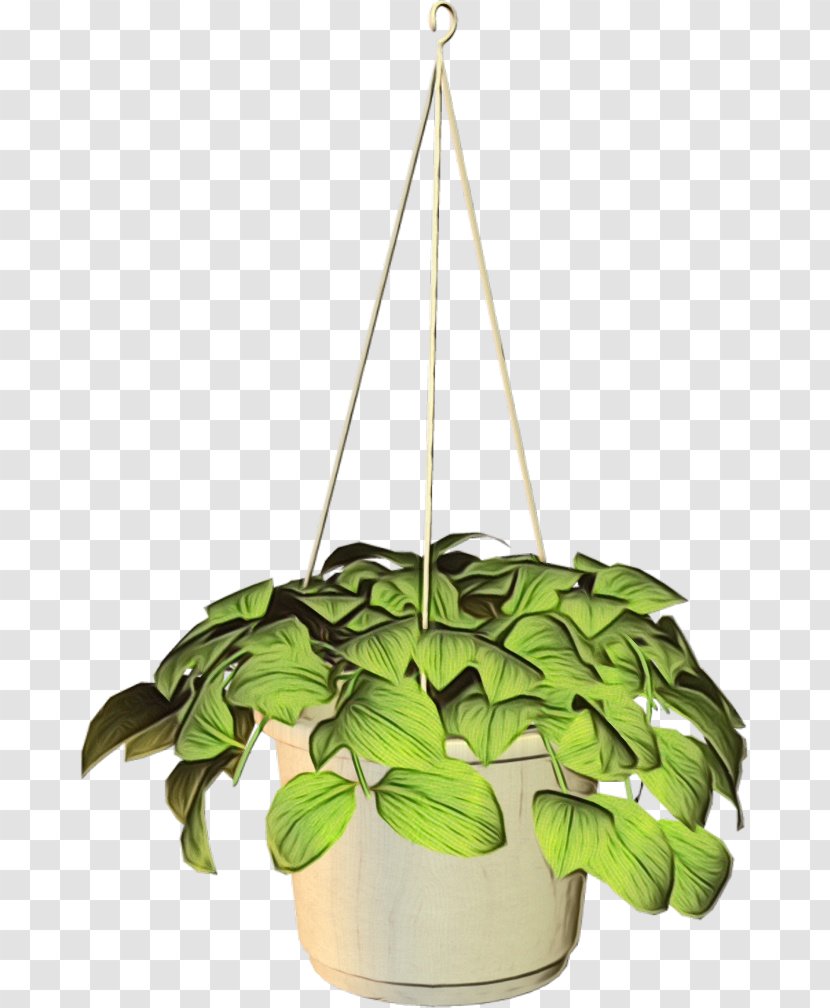Flowerpot Lighting Leaf Plant Houseplant - Perennial - Interior Design Transparent PNG
