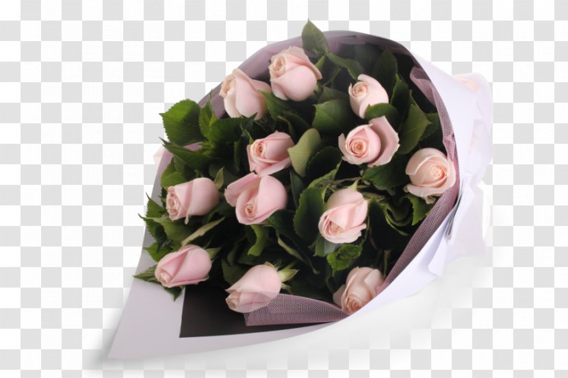 Garden Roses Floral Design Flower Bouquet Pink - Plant - Rose Transparent PNG