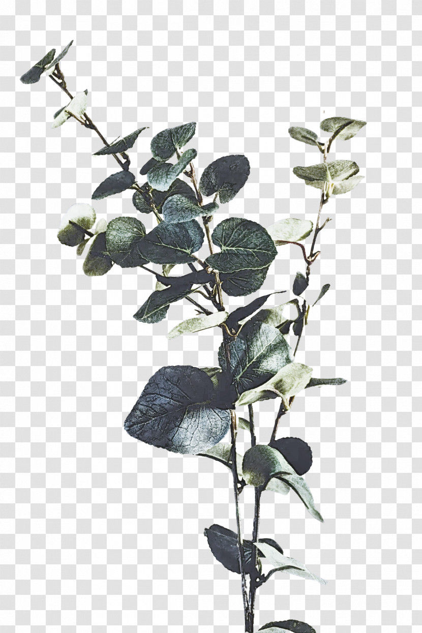 Music Download Leaf Plant Stem Lilac M Transparent PNG