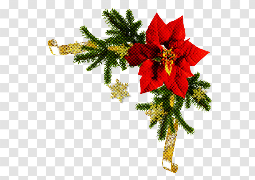 Christmas Day Transparent PNG