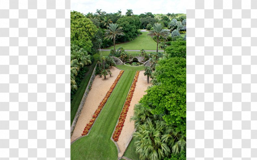 Fairchild Tropical Botanic Garden Botanical Landscaping New Work - Grass - Land Lot Transparent PNG