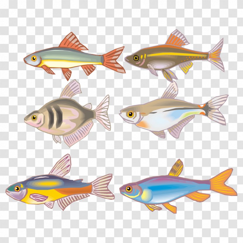 Fish Cartoon Clip Art - Marine Biology Transparent PNG