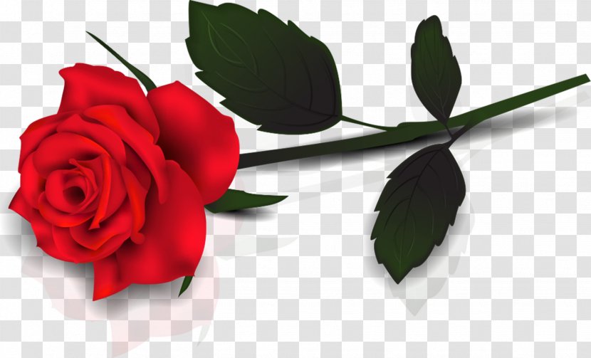 Valentine's Day Rose Flower Gift Clip Art - Floral Design - Roses Transparent PNG