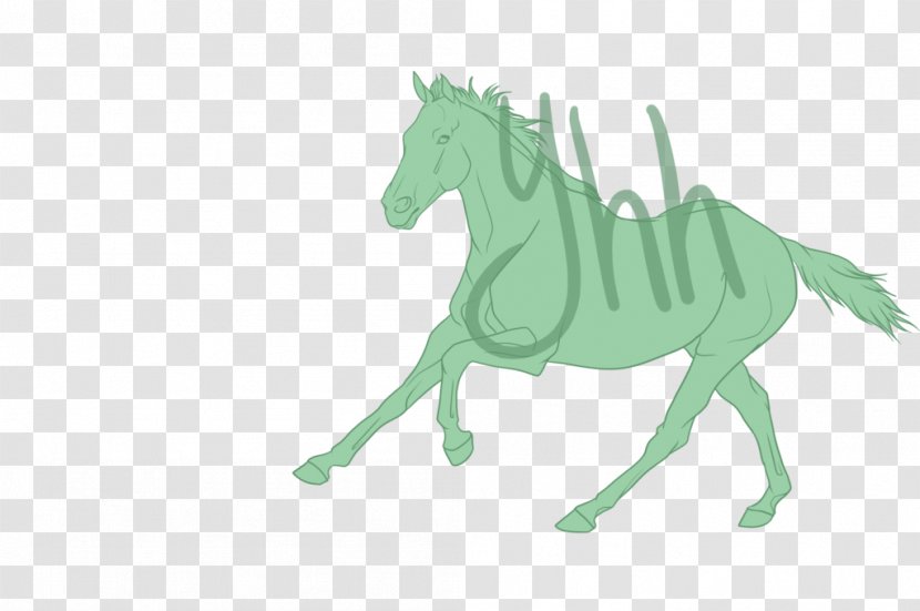 Pony Mustang Stallion Halter Pack Animal Transparent PNG
