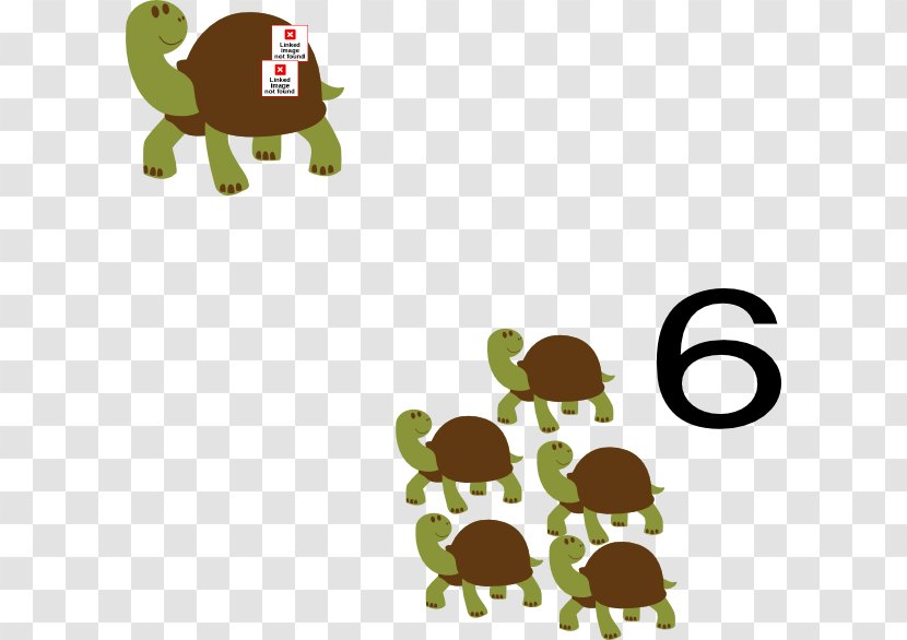 Cattle Animal Alt Attribute Number - Gift - Turtle Drawing Transparent PNG