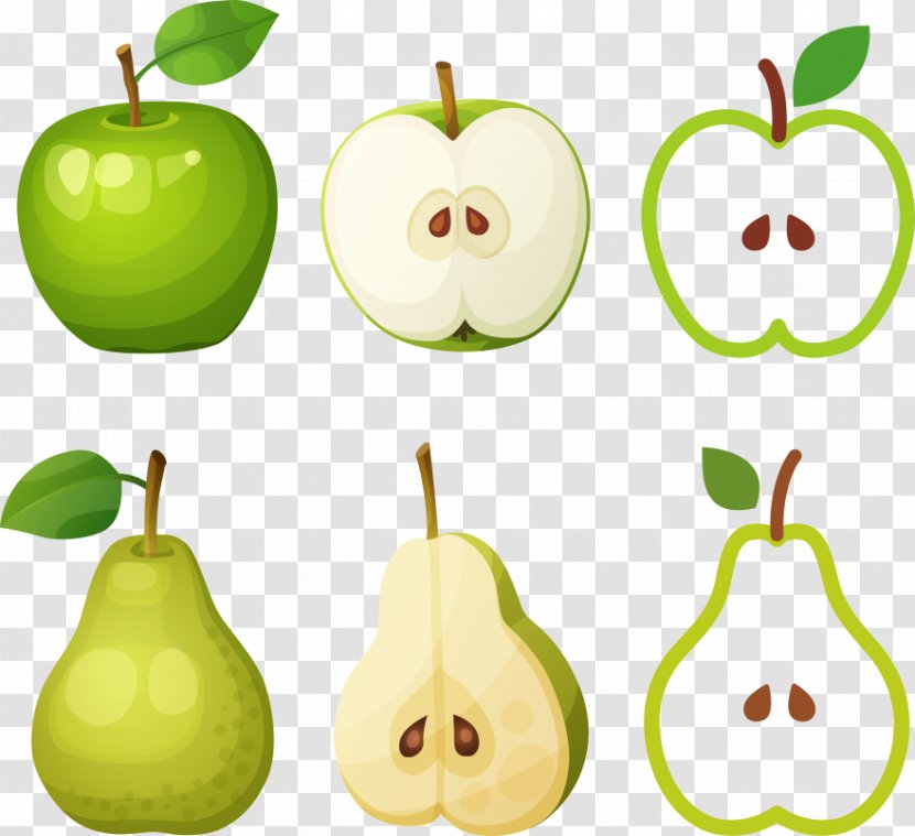 Pear Apple Photography Clip Art - Vector Cartoon Green Transparent PNG