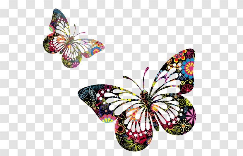 Butterfly Clip Art - Monarch - Border Transparent PNG
