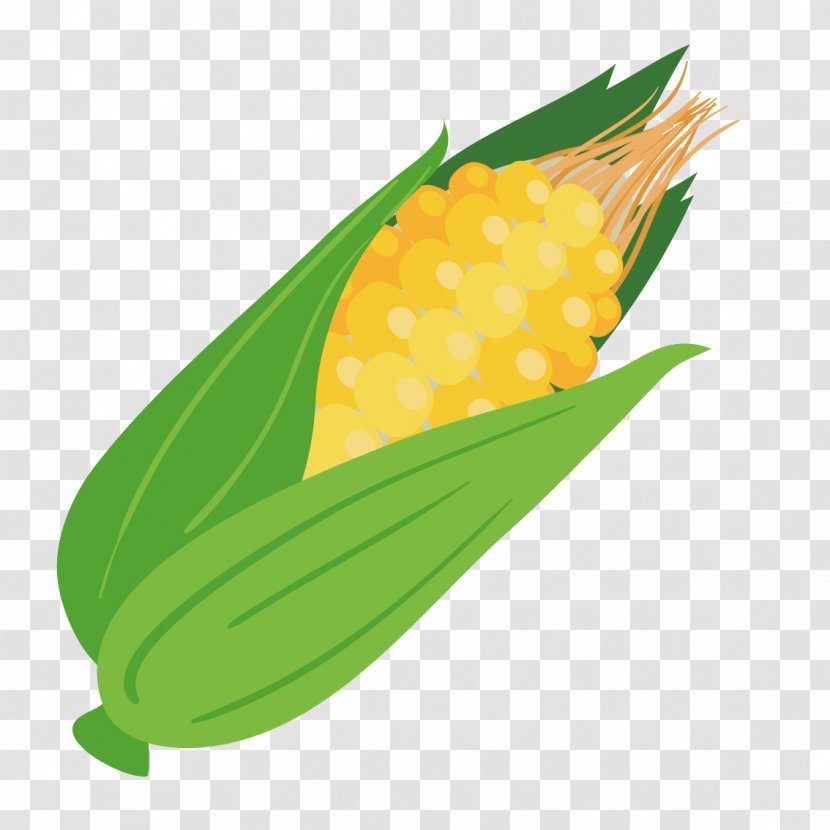 Corn On The Cob Maize Computer File - Commodity - Vector Transparent PNG