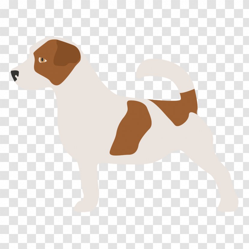 Dog Breed Puppy Jack Russell Terrier Companion Australian Cattle - Leash Transparent PNG