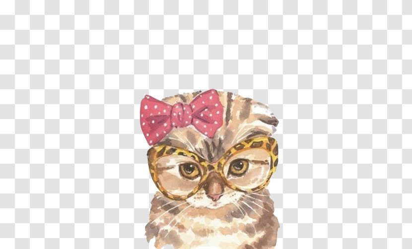 Scottish Fold Persian Cat Kitten Watercolor Painting Illustration - Owl Picture Material Transparent PNG