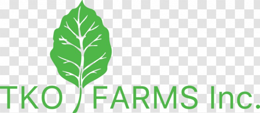 Logo TKO Farms, Inc. Investment Product Leaf - Brand - Toucan Belize Transparent PNG
