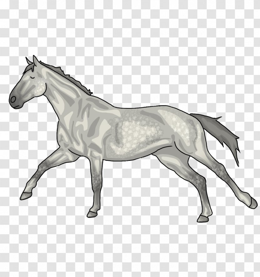 Foal Mane Mustang Stallion Mare - Asap Graphic Transparent PNG