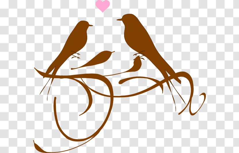 Lovebird Wedding Drawing Clip Art - Branch - Love Tree Transparent PNG