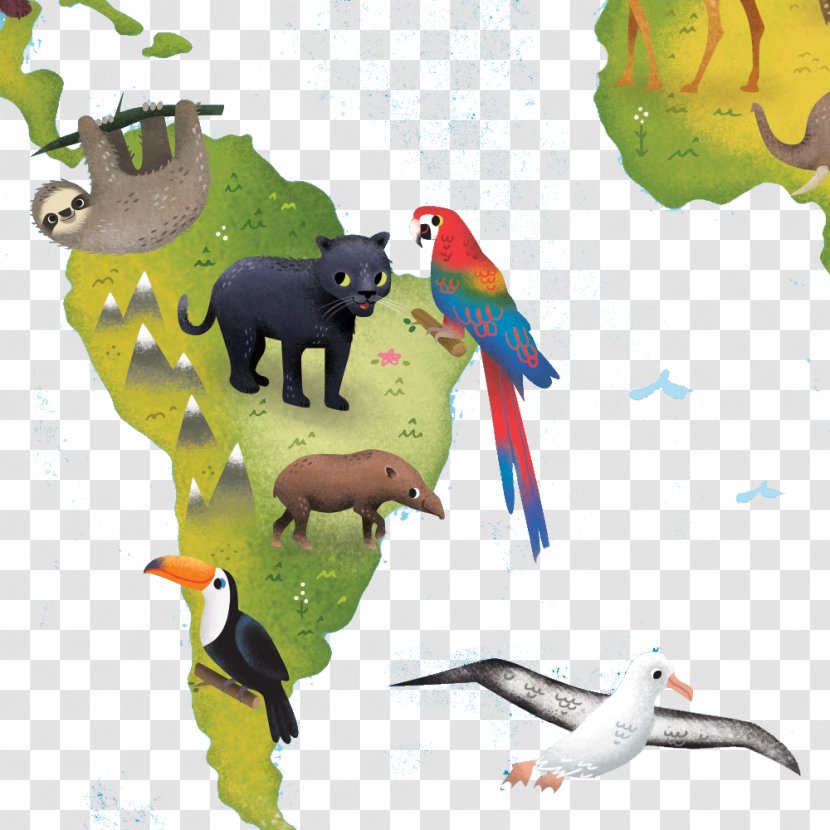 Leopard Island Cartoon Illustration - Google Images - Painted Parrot Transparent PNG