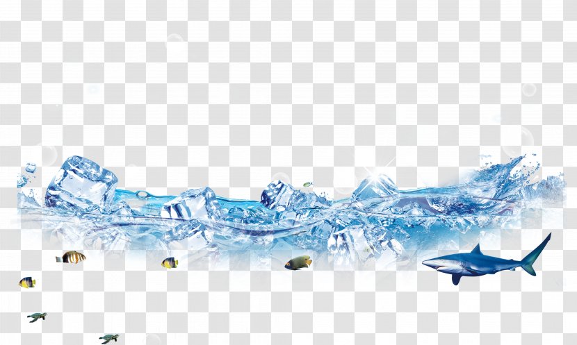 Ice Cream Euclidean Vector Cube - Water - Water,Ice,dolphin,fish,Fish,iceberg Transparent PNG