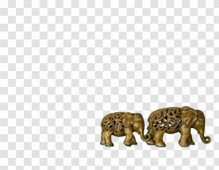 African Elephant Felidae Indian Cat - Thai Transparent PNG
