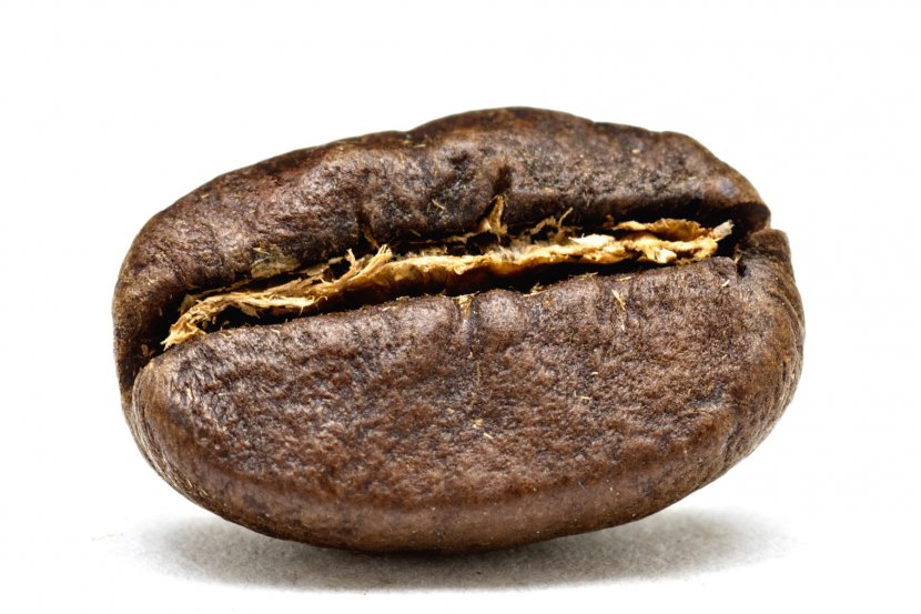 Arabica Coffee Bean Roasting - Caffeine - Beans Transparent PNG