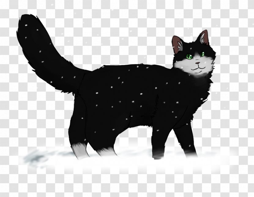 Manx Cat Black American Wirehair Kitten Domestic Short-haired - Fur - Winter Wonderland Transparent PNG