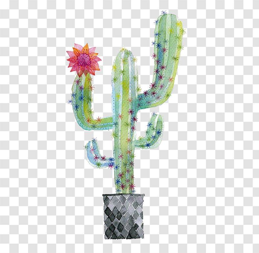 Cactaceae Watercolor Painting Succulent Plant Illustration - Cactus Transparent PNG