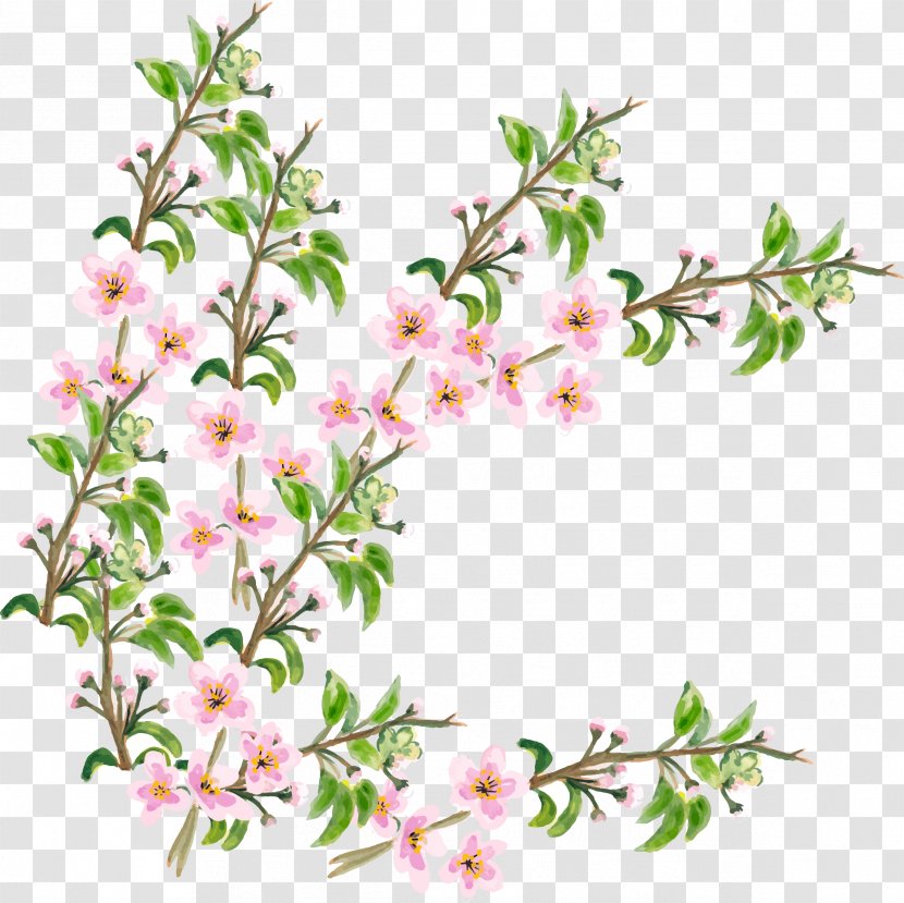 Flower Cherry Blossom - Plant - Vector Hand Painted Pink Branch Transparent PNG