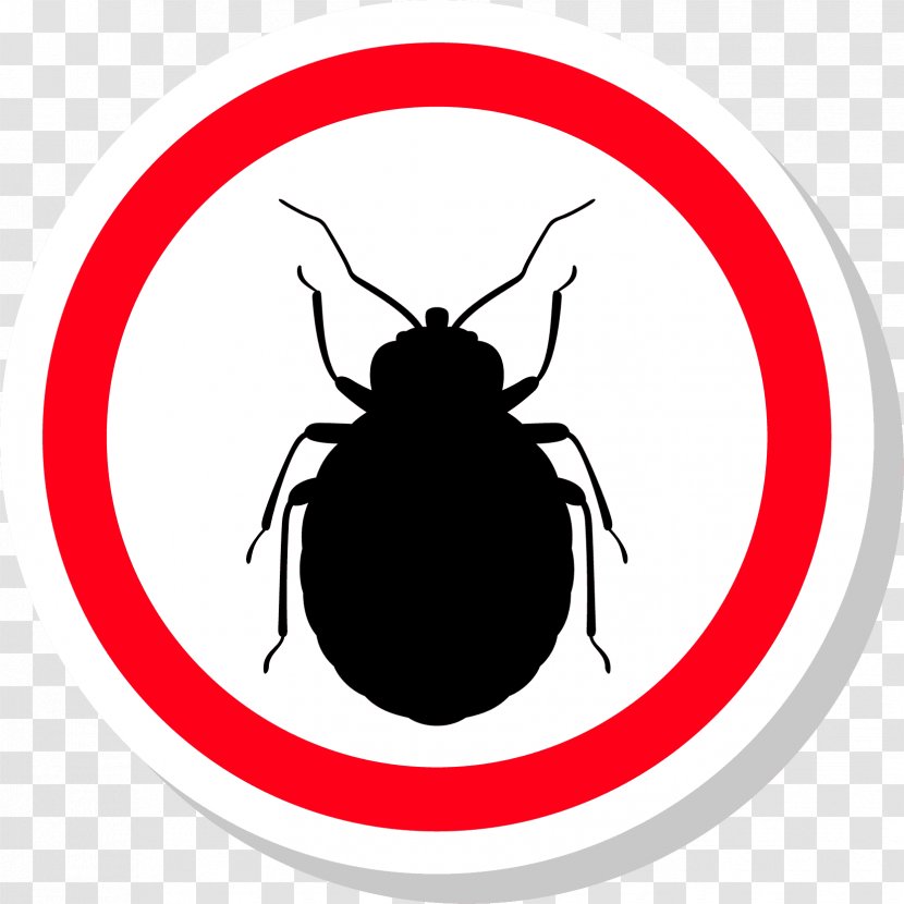 Insect Bed Bug Pest Animal - Mosquito Transparent PNG