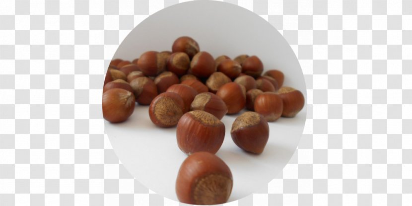 Hazelnut Common Hazel Fruit Food - Nuts Seeds - Walnut Transparent PNG