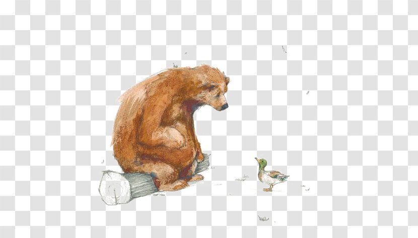 Orso Ha Una Storia Da Raccontare Bear Has A Story To Tell U963fu83abu7684u751fu75c5u65e5 U5927u718au6709u4e2au6545u4e8bu8981u8bf4 - Heart - And Duck Transparent PNG