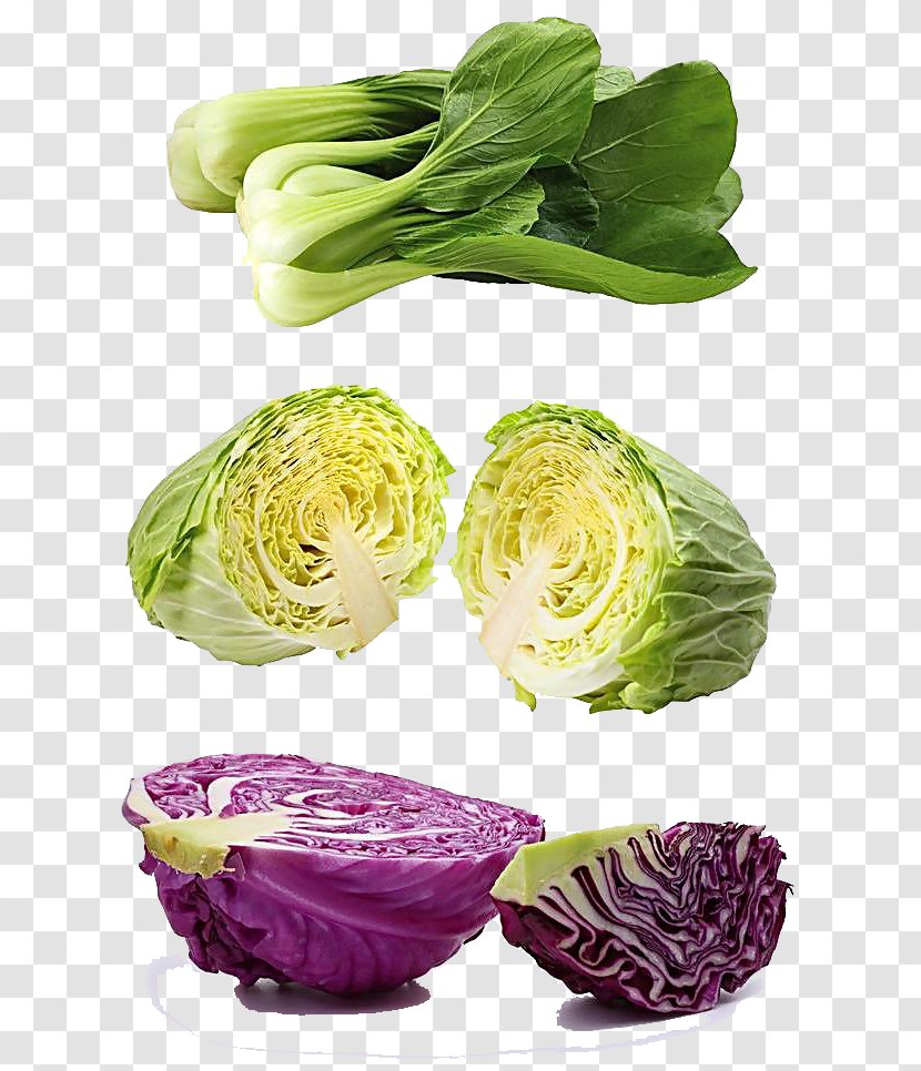 Juice Lacinato Kale Vegetable Red Cabbage - Sprouting - Vegetables Transparent PNG