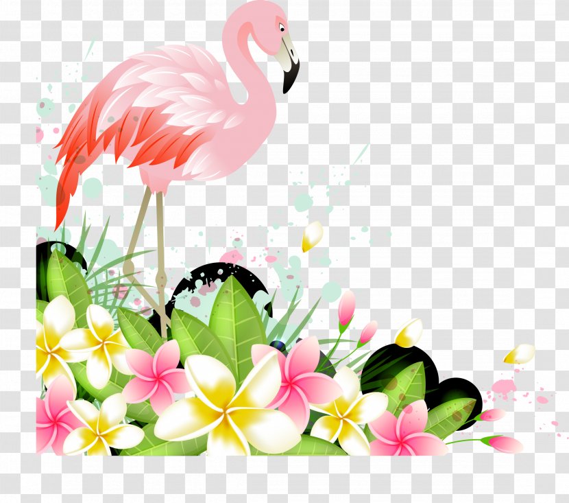 Flamingo - Flowering Plant - Vector Flamingos Transparent PNG