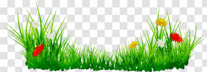 Vector Graphics Clip Art Image Free Content - Wheatgrass - Fodder Transparent PNG