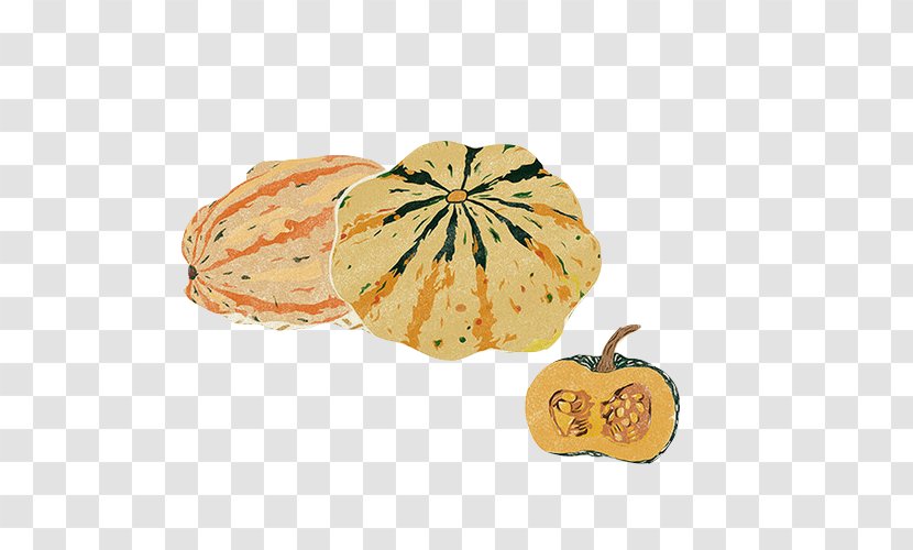 Calabaza Pumpkin Pie Squash Soup - Gourd - Hand Painting Material Picture Transparent PNG