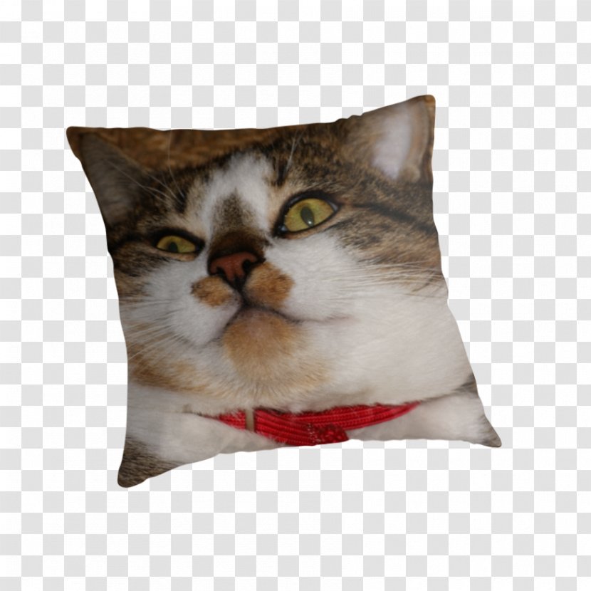 Whiskers Kitten Throw Pillows Cushion - Material Transparent PNG
