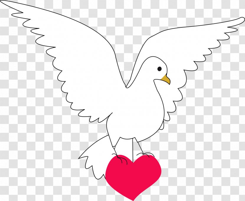Columbidae Peace Doves As Symbols Clip Art - Flower - DOVE Transparent PNG