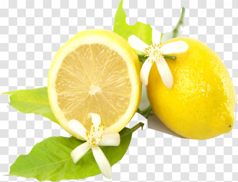 Tea Lemon-lime Drink Gong Cha - Grapefruit - Fresh Lemon Transparent PNG