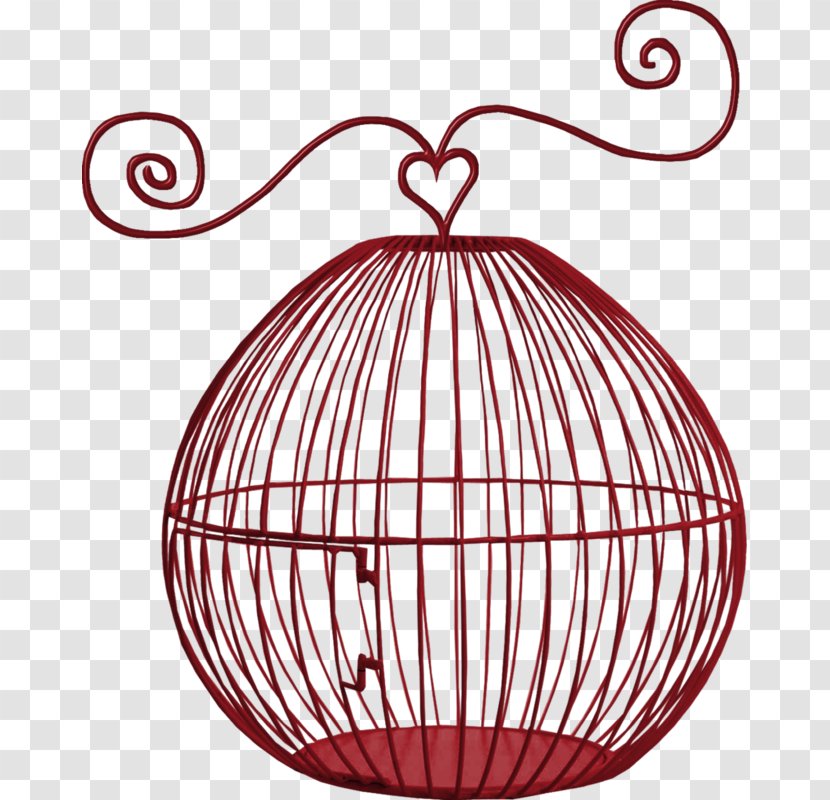 Bird Line Drawing - Ornament Art Transparent PNG