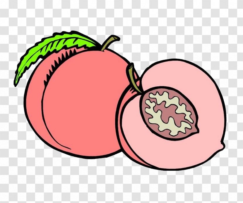 Cartoon - Pink - Peach Transparent PNG