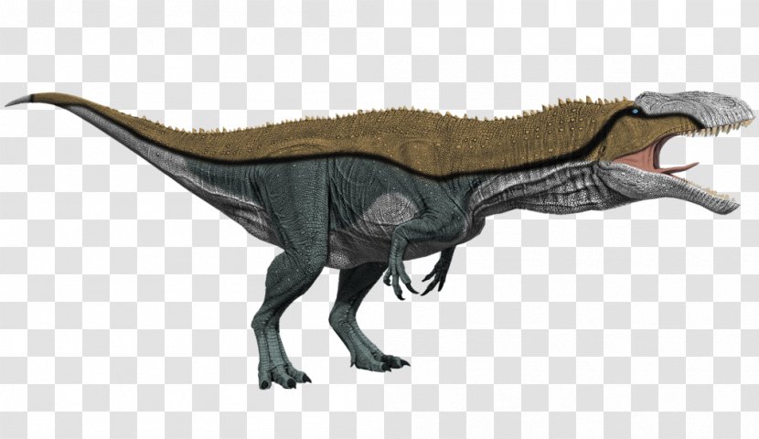 Tyrannosaurus Primal Carnage: Extinction Acrocanthosaurus Dinosaur King - Spinosaurus Transparent PNG