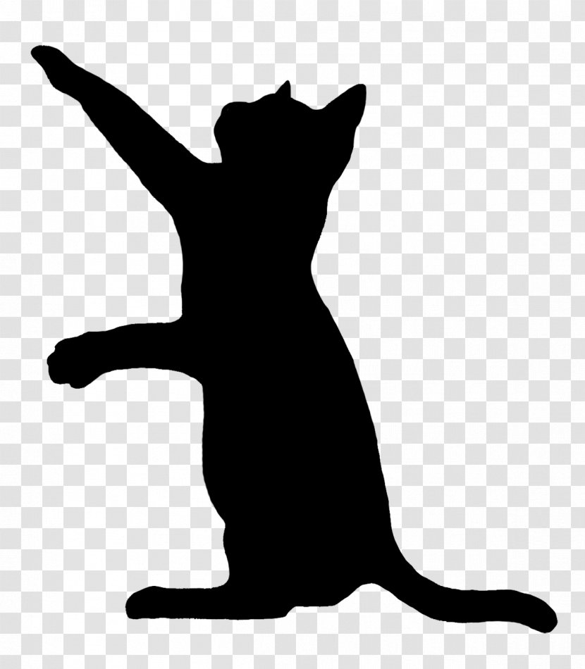 Cat Small To Medium-sized Cats Silhouette Tail Black - Mediumsized - Blackandwhite Transparent PNG
