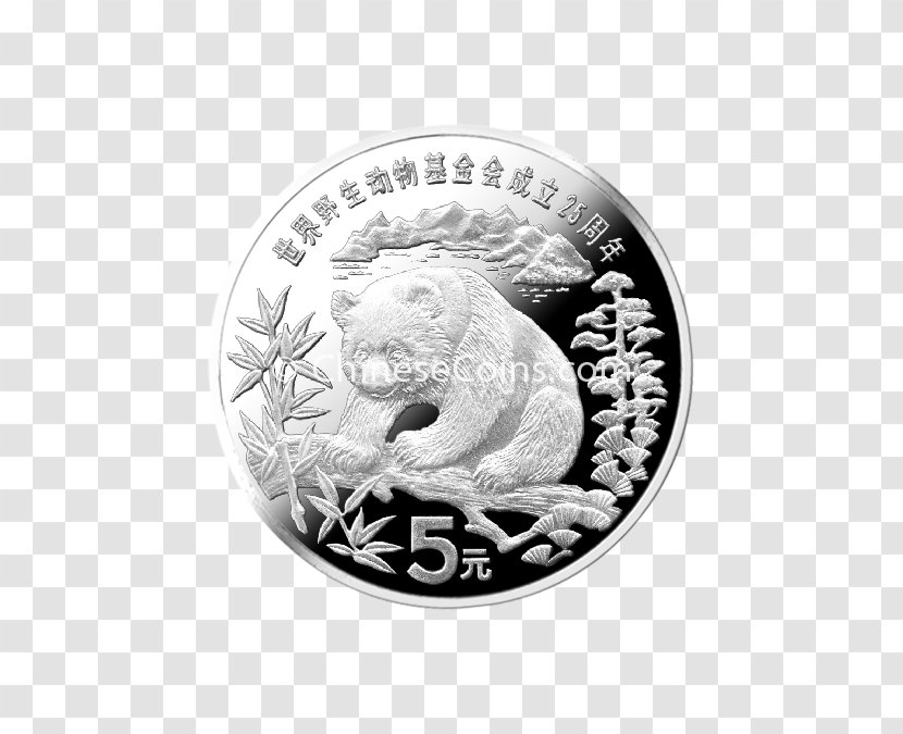 Chinese Modern Coins Silver Coin Clip Art - Currency Transparent PNG