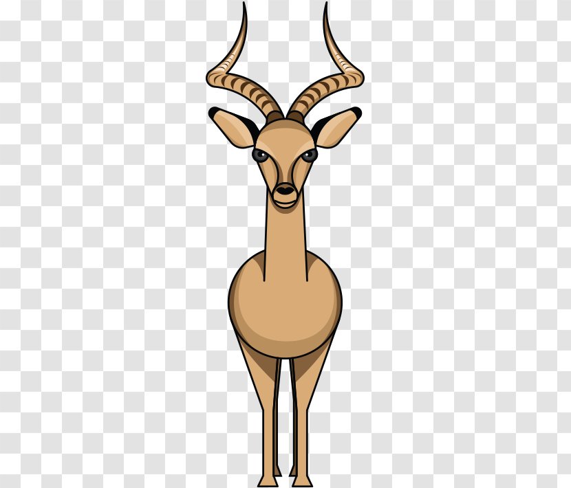 Impala Antelope Deer Animal Zoo Transparent PNG