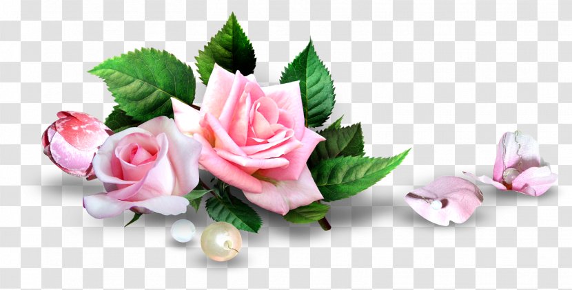 Rose Pink Flower Desktop Wallpaper - Photoscape Transparent PNG