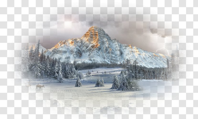 Desktop Wallpaper Mount Chephren Forest Winter Landscape Transparent PNG