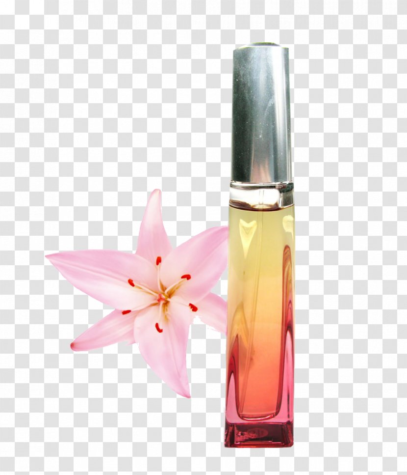 Perfume Cosmetics Toner Make-up - Eau De Toilette Transparent PNG