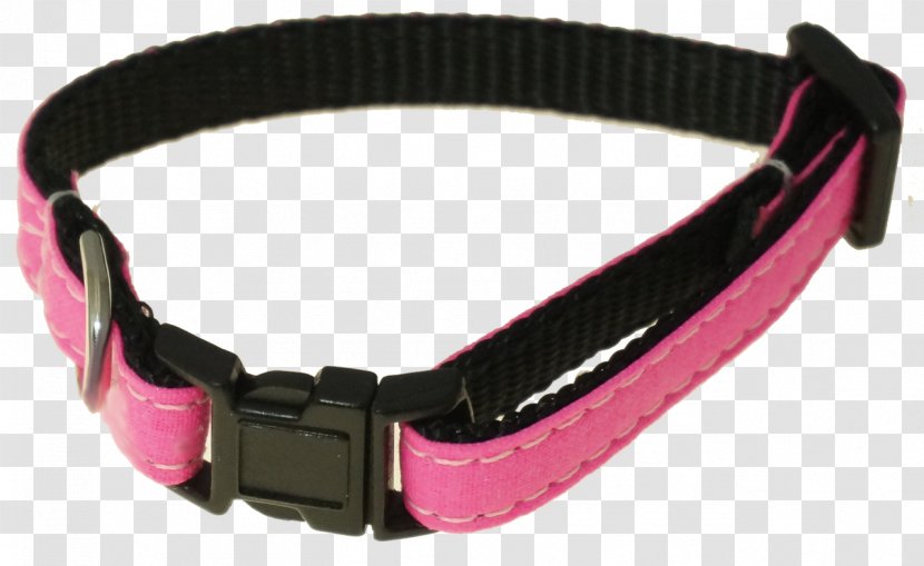 Dog Collar Leash Pet Transparent PNG