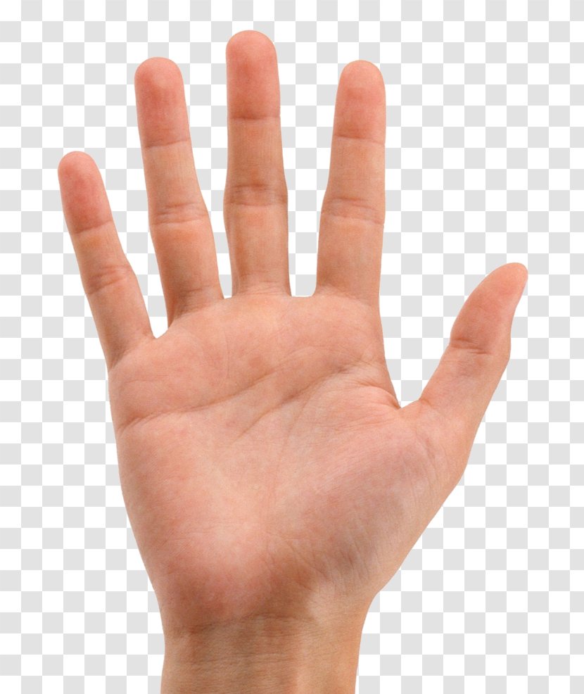 Index Finger Hand Image - Sign Language - Shake Transparent PNG