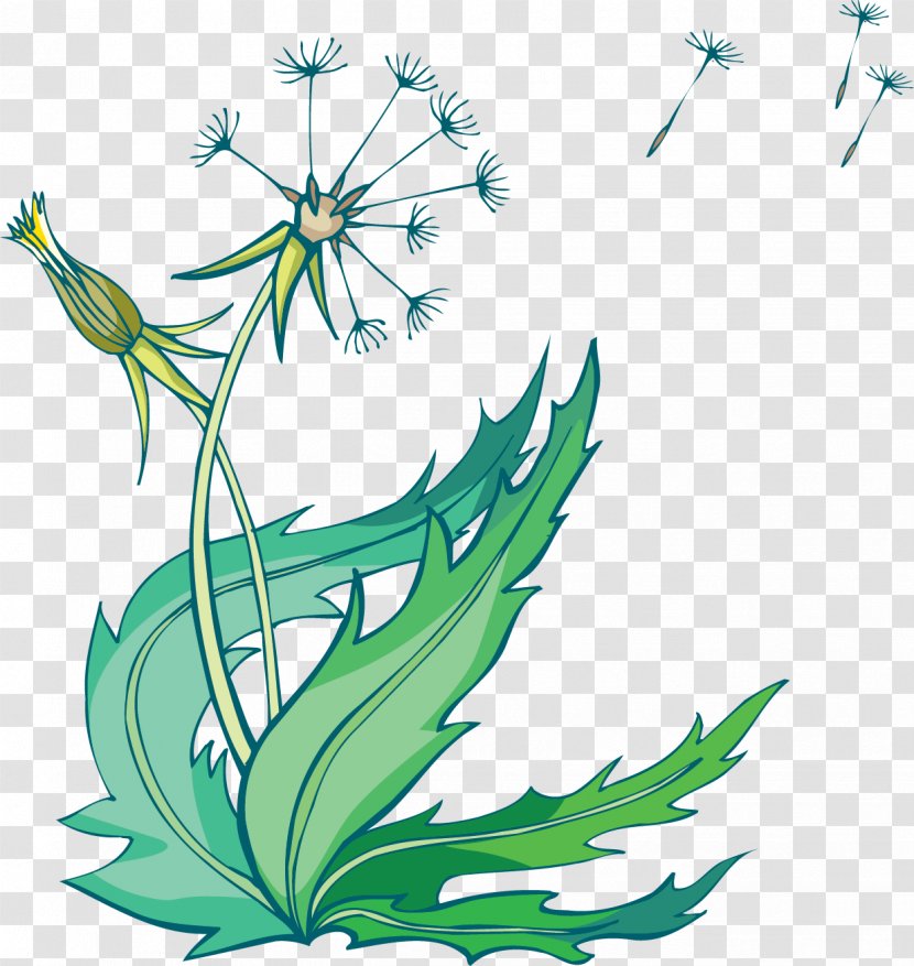 Dandelion Coffee Common Flower Vector Space Transparent PNG