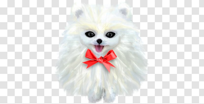 German Spitz Klein Pomeranian Japanese Volpino - Italiano - Puppy Transparent PNG