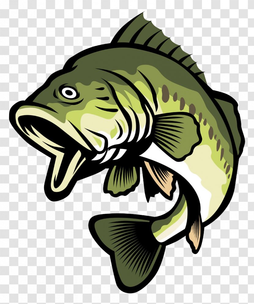 Bass Stock Illustration Clip Art - Logo - Green Cartoon Fish Transparent PNG