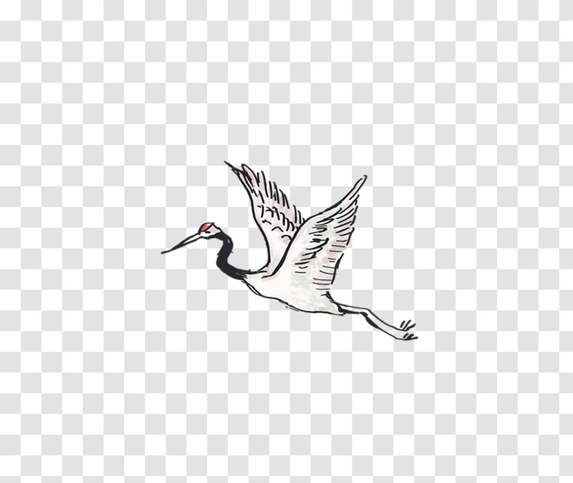 Crane Bird - Like Transparent PNG