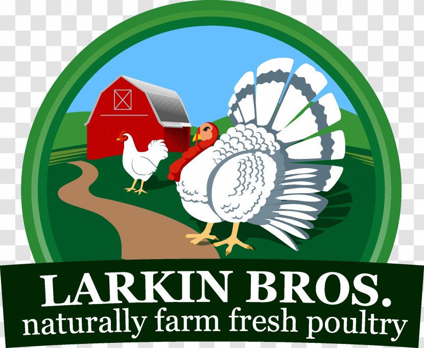 Larkin Brothers Inc. Turkey Food Farm Chicken - Agriculture Transparent PNG